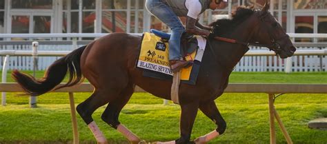 preakness best bets|2023 Preakness Stakes: Odds, Trends & Best Bets .
